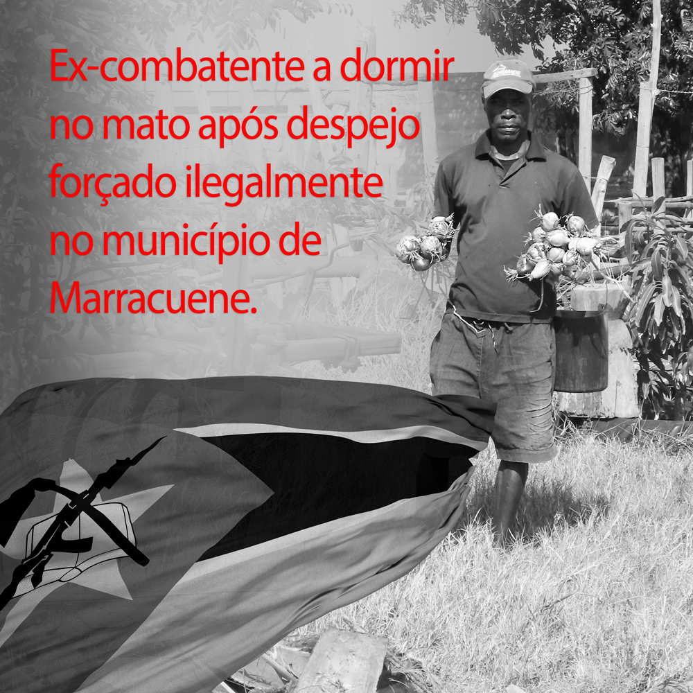 Former settlers violate the SDGs in Mozambique