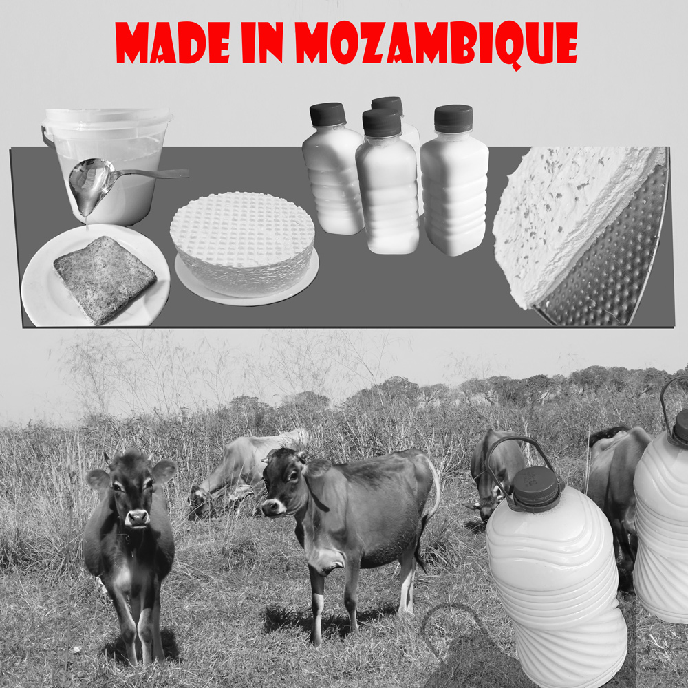Made in Mozambique SDG