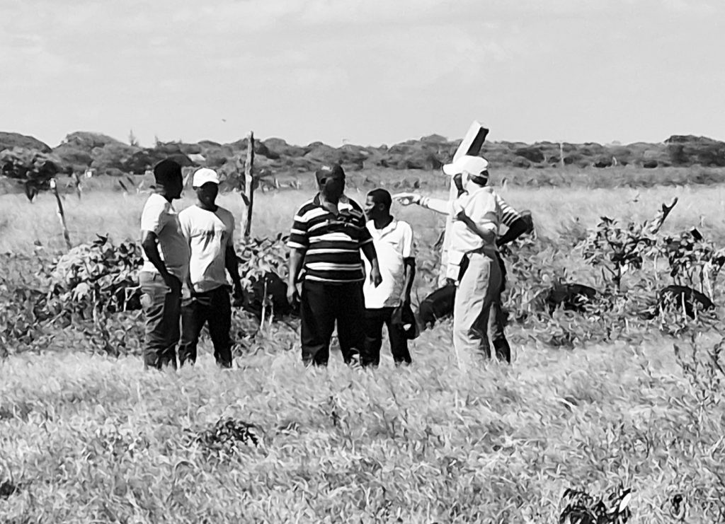 CARLA MARIA ALVARENGA BRAS INVADE PROPRIEDADE EM MOÇAMBIQUE E CAUSA DESTRUIÇÃO