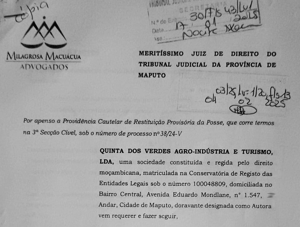 Carla Bras provided a false address to her legal representatives (MILAGROSA MACUACUA ADVOGADOS) in a precautionary measure submitted to the Maputo provincial court.